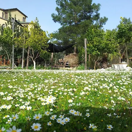 Albergue Jungle Bells Kumluca