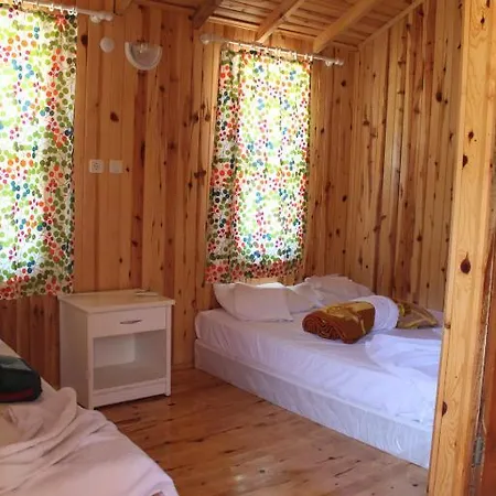 Jungle Bells Albergue *