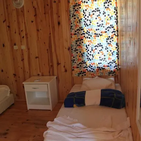 Jungle Bells Albergue *