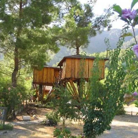 Albergue Jungle Bells
