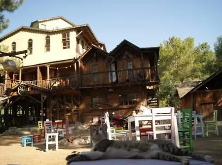 Jungle Bells Albergue