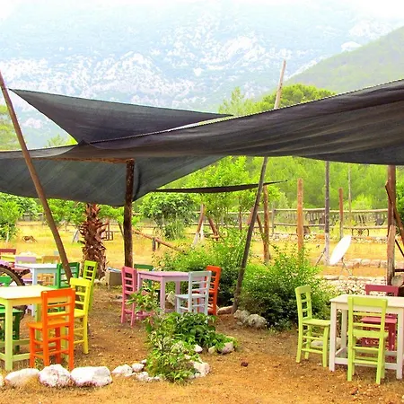 Jungle Bells Albergue *
