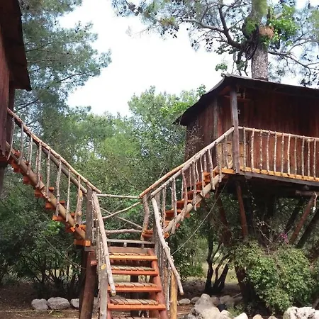 Albergue Jungle Bells *
