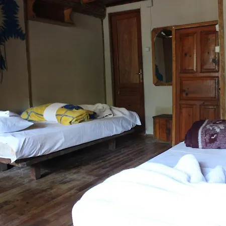 Jungle Bells Hostel *