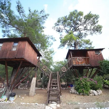 Jungle Bells Hostel